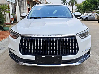 Заказать LEOPAARD MATTU