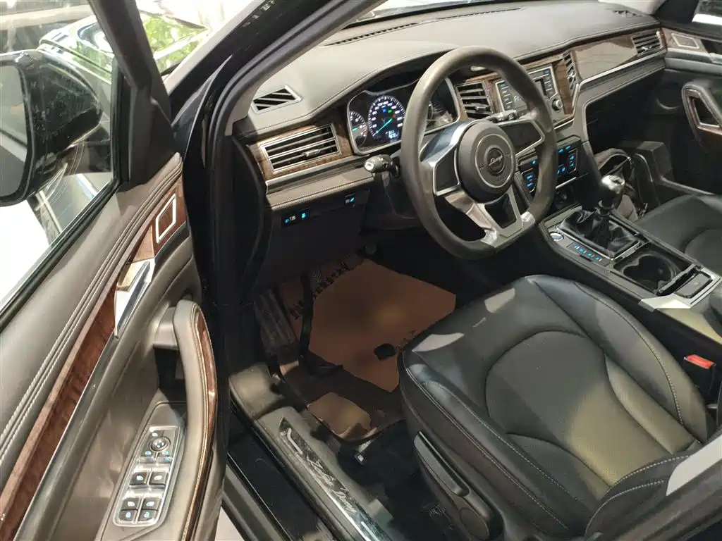 ZOTYE BIG 迈X7 2019