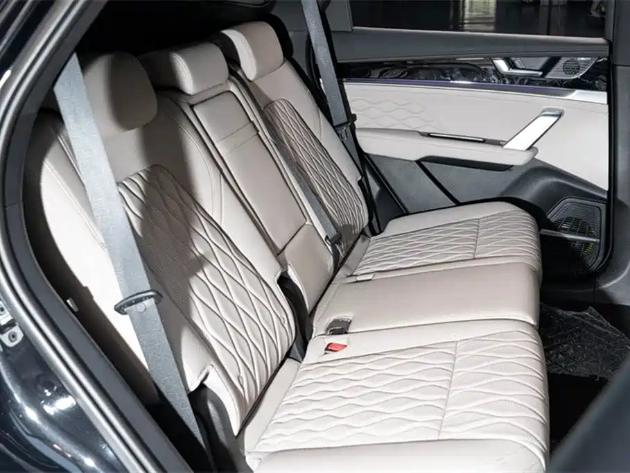 BYD TANG NEW ENERGY 2025