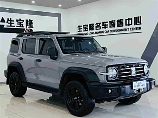 TANK 300 2021 YEAR EDITION 2.0T 2021