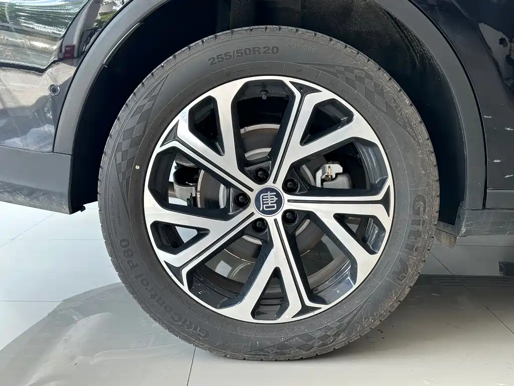 BYD TANG NEW ENERGY 2025