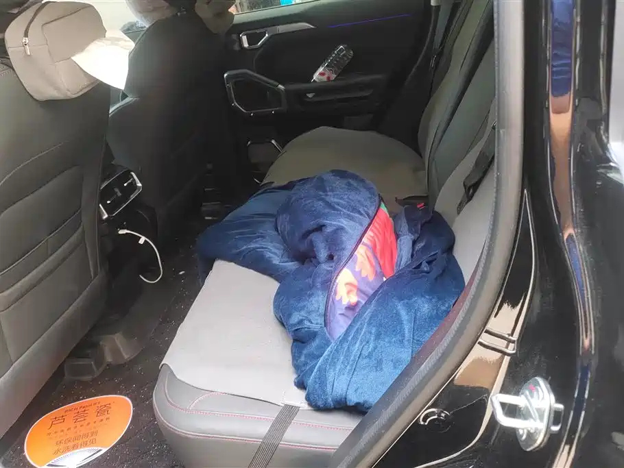 JETOUR SHANHAI T2 2024