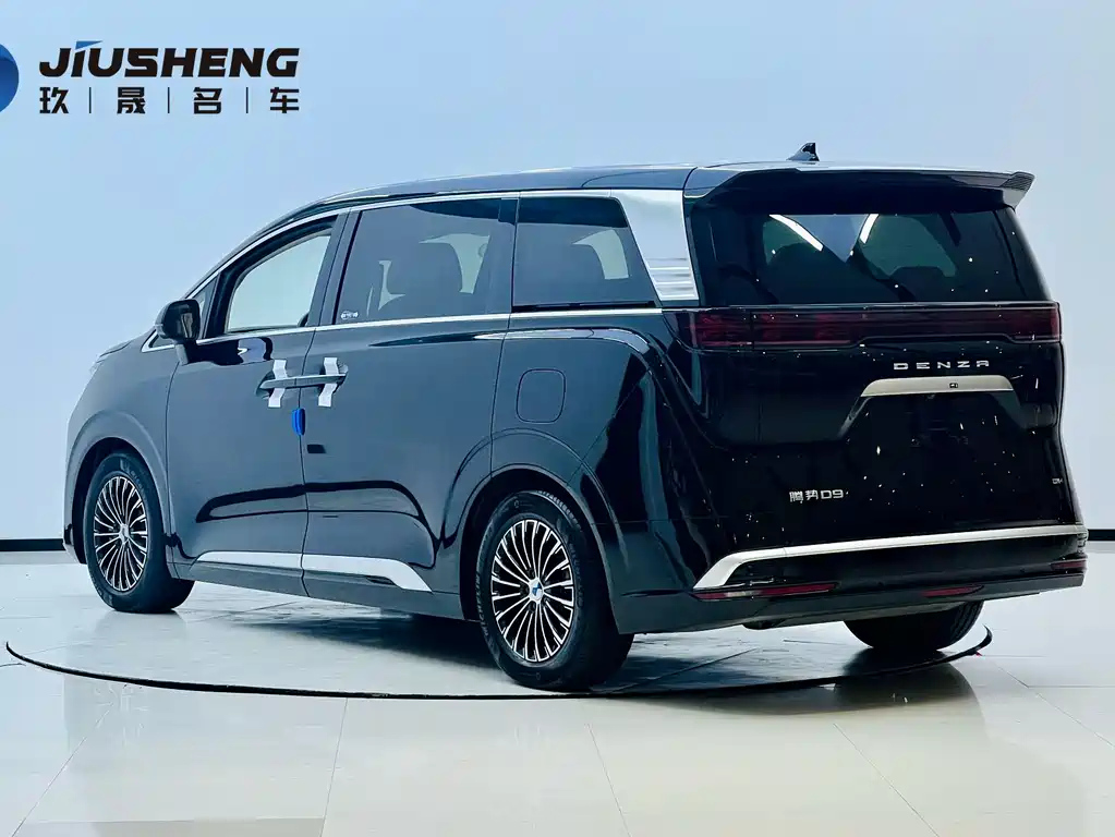 DENZA D9 2024