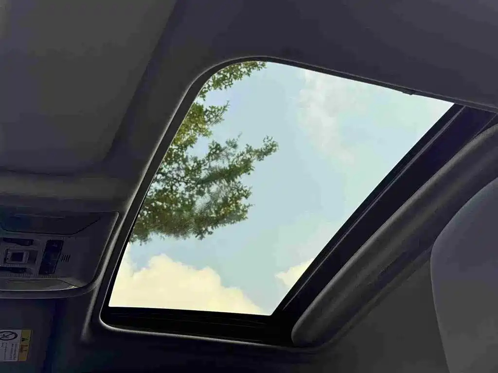 TOYOTA WILDLANDER 2023