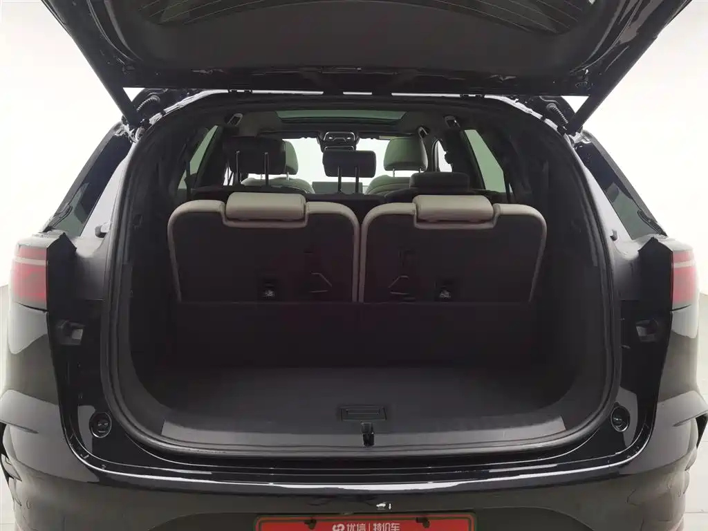 BYD TANG NEW ENERGY 2024