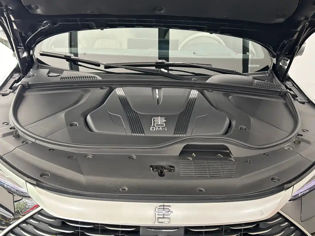 BYD TANG NEW ENERGY 2025