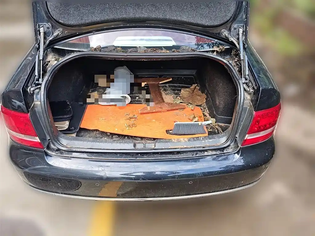 VOLKSWAGEN PASSAT LINGYU 2011