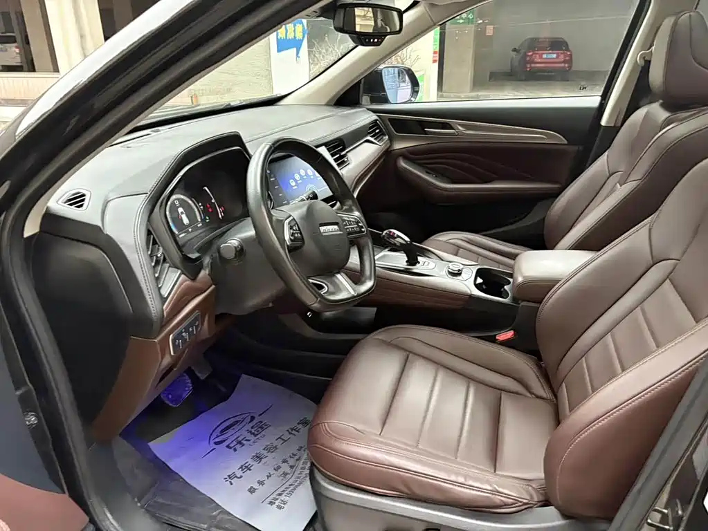 HAVAL F7X 2019