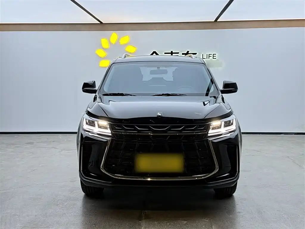 DONGFENG FORTHING T5 2023