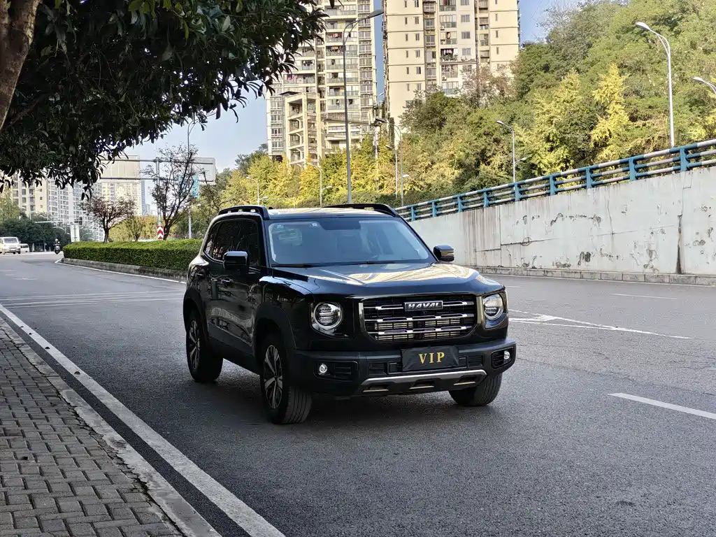 HAVAL BIG DOG 2020