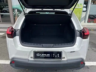 LEXUS UX NEW ENERGY 2020 YEAR 300E . EDITION 2020