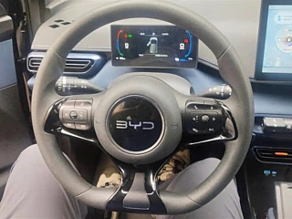 BYD SEAGULL 2025 YEAR 305KM VITALITY EDITION 2025