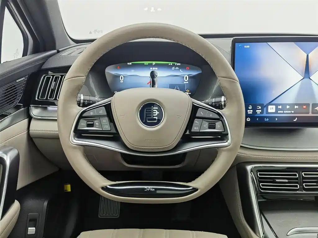 BYD TANG NEW ENERGY 2024