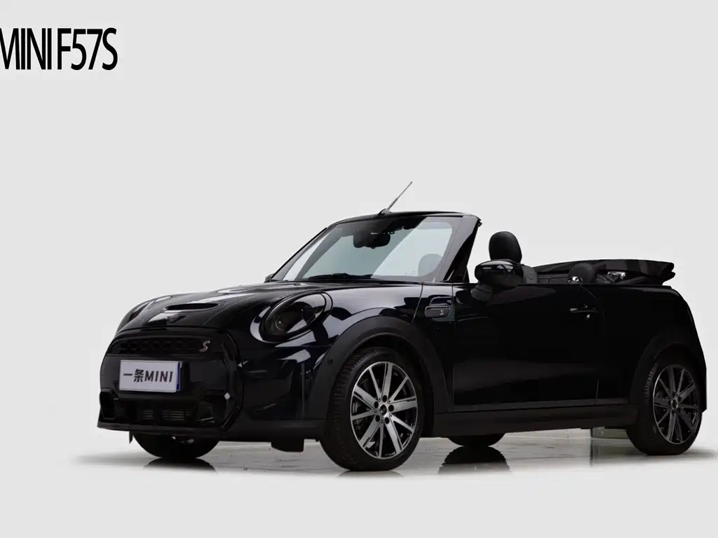 Аукционный лист MINI OTHER 2022