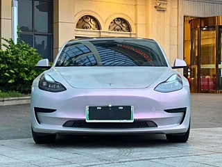 TESLA MODEL 3  2021