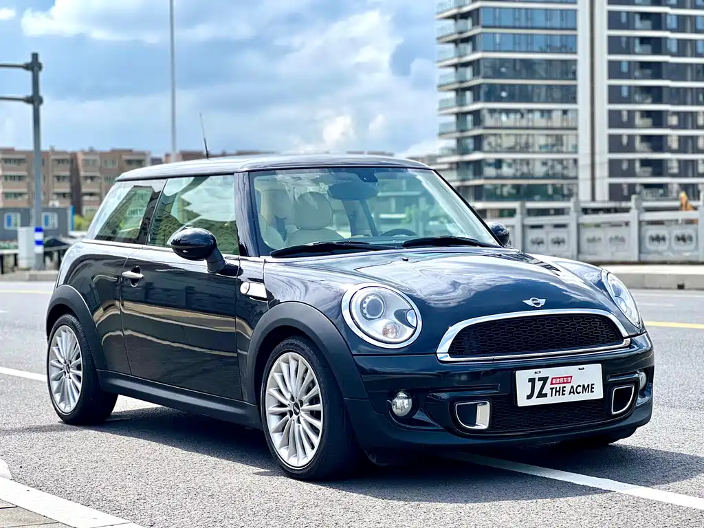 MINI OTHER 2013