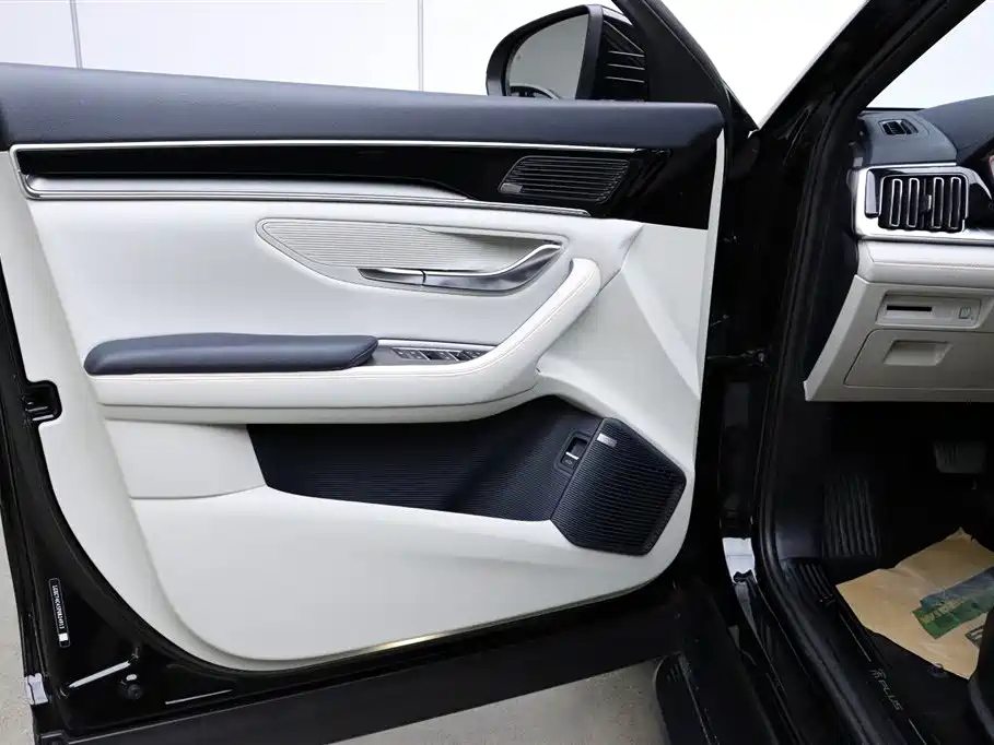 BYD SONG PLUS NEW ENERGY 2024