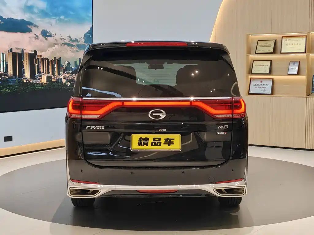 TRUMPCHI M8 2024
