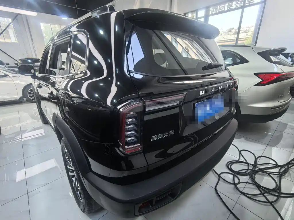HAVAL BIG DOG 2022