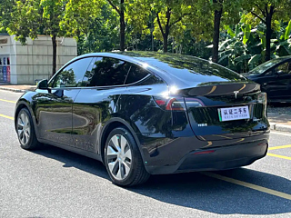 TESLA MODEL Y  2022 YEAR &#21518;&#36718;&#39537; POWER EDITION 2022