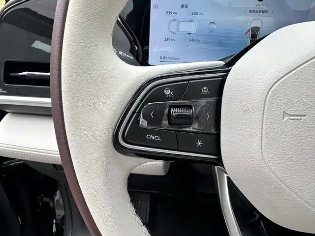 GEELY AUTO MONJARO 2023