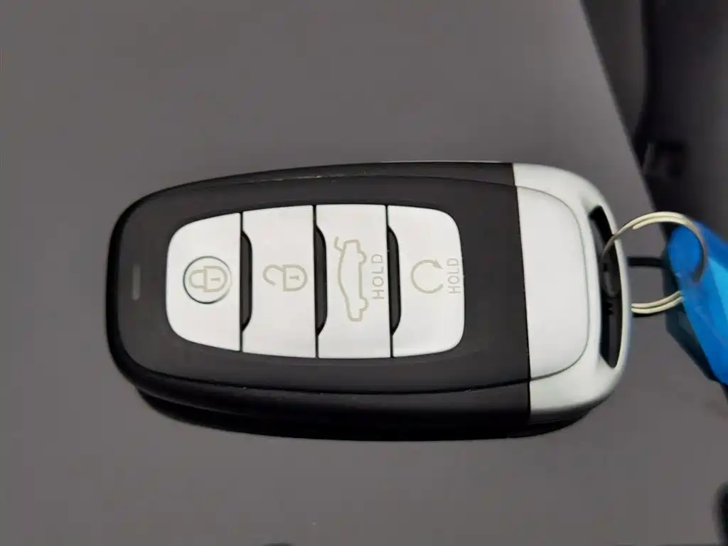 HONGQI H5 2021