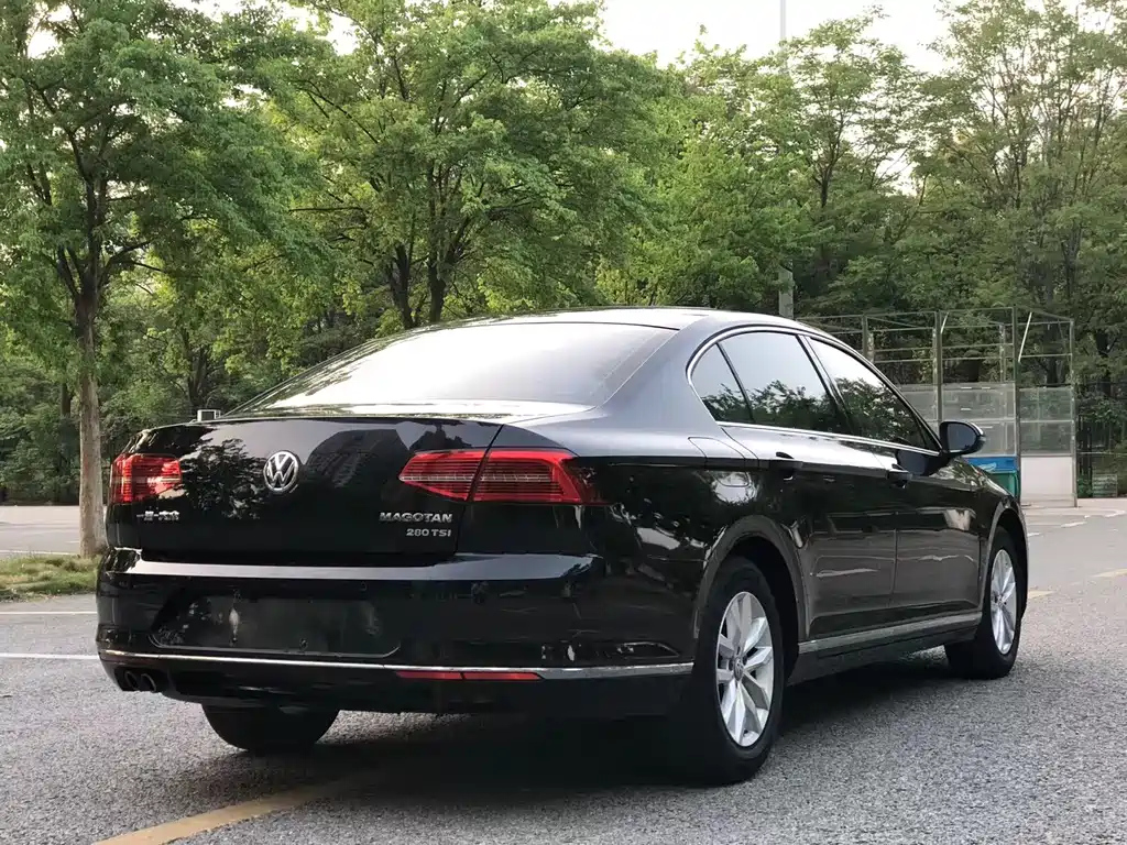 VOLKSWAGEN MAGOTAN 2019