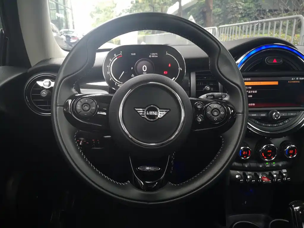 MINI OTHER 2021