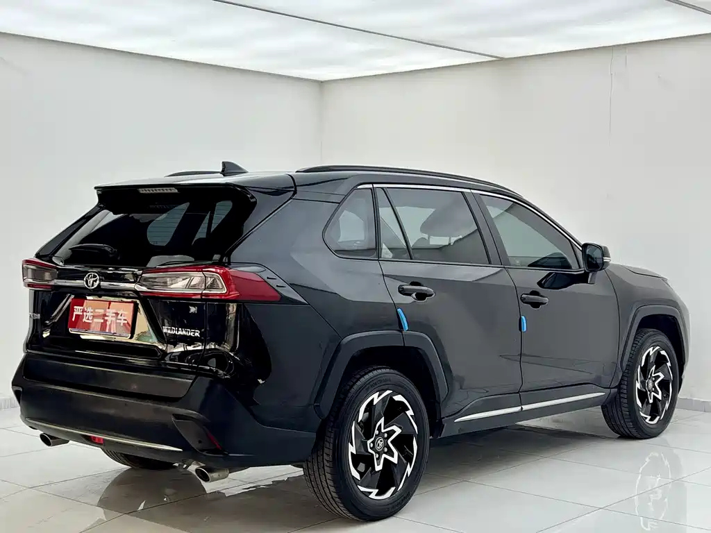 TOYOTA WILDLANDER 2020