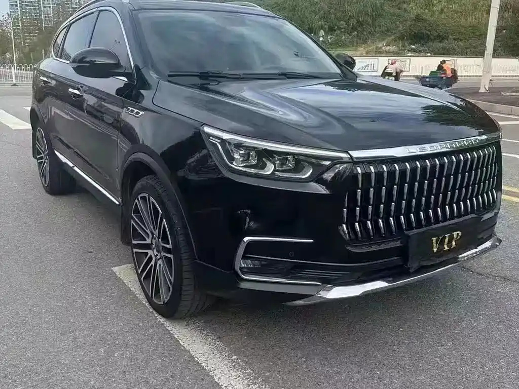 LEOPAARD MATTU 2019