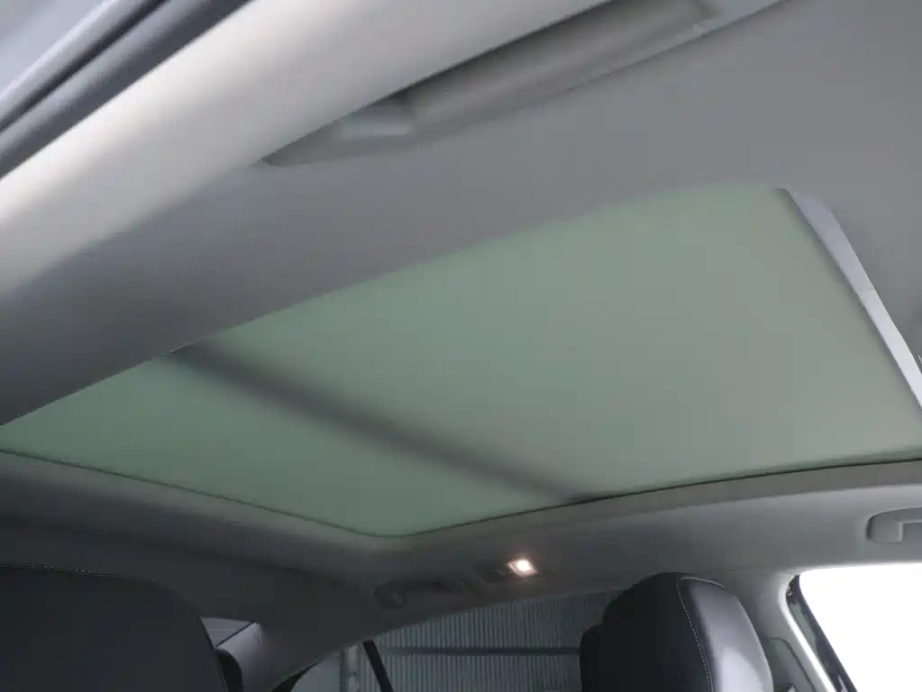 VOLKSWAGEN MAGOTAN 2020