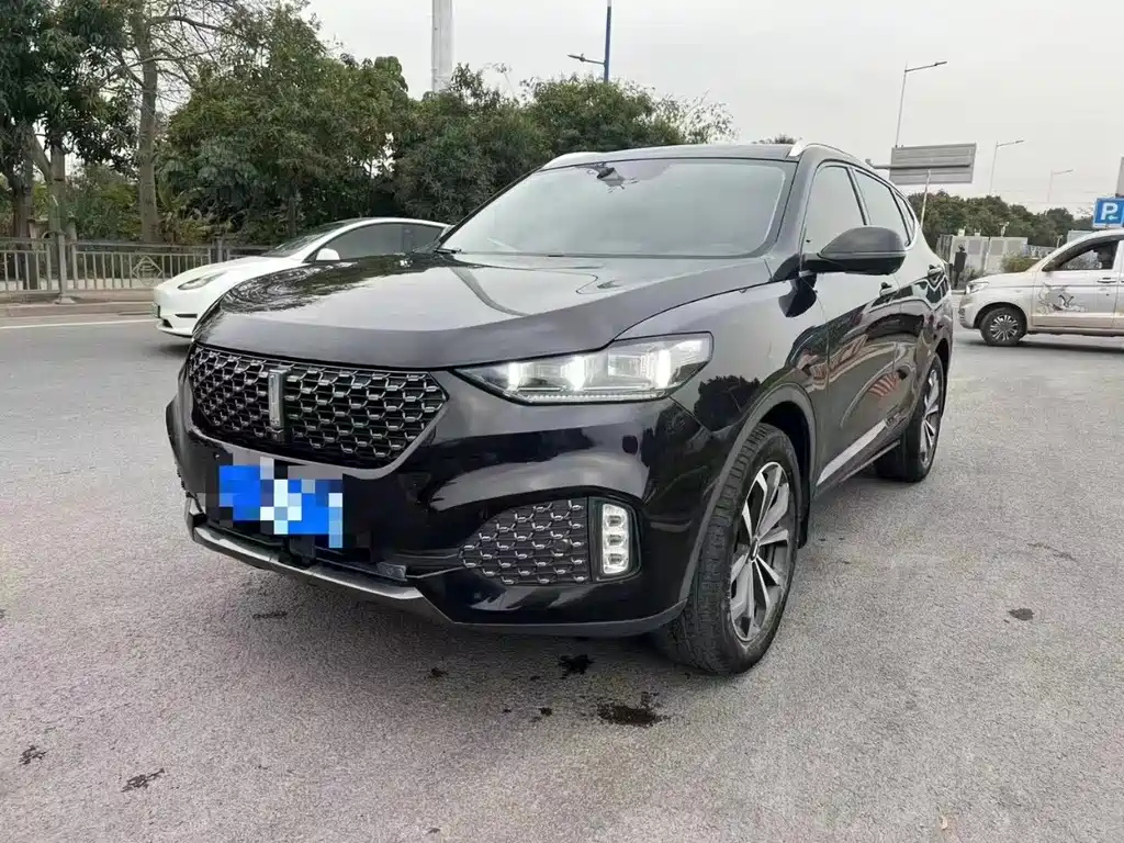 WEY VV6 2020