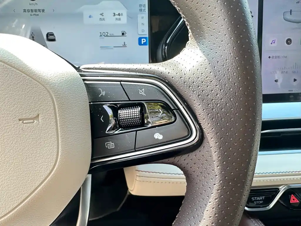 GEELY AUTO MONJARO 2022
