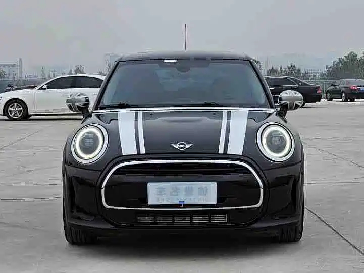 MINI OTHER 2021