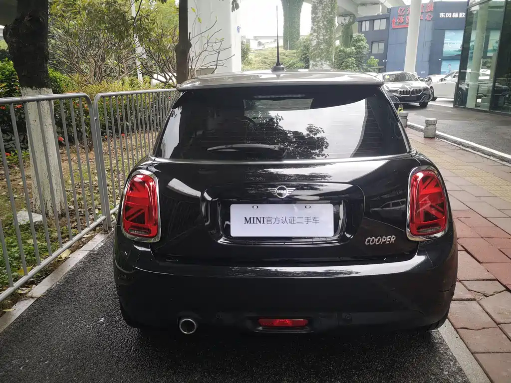 MINI OTHER 2021