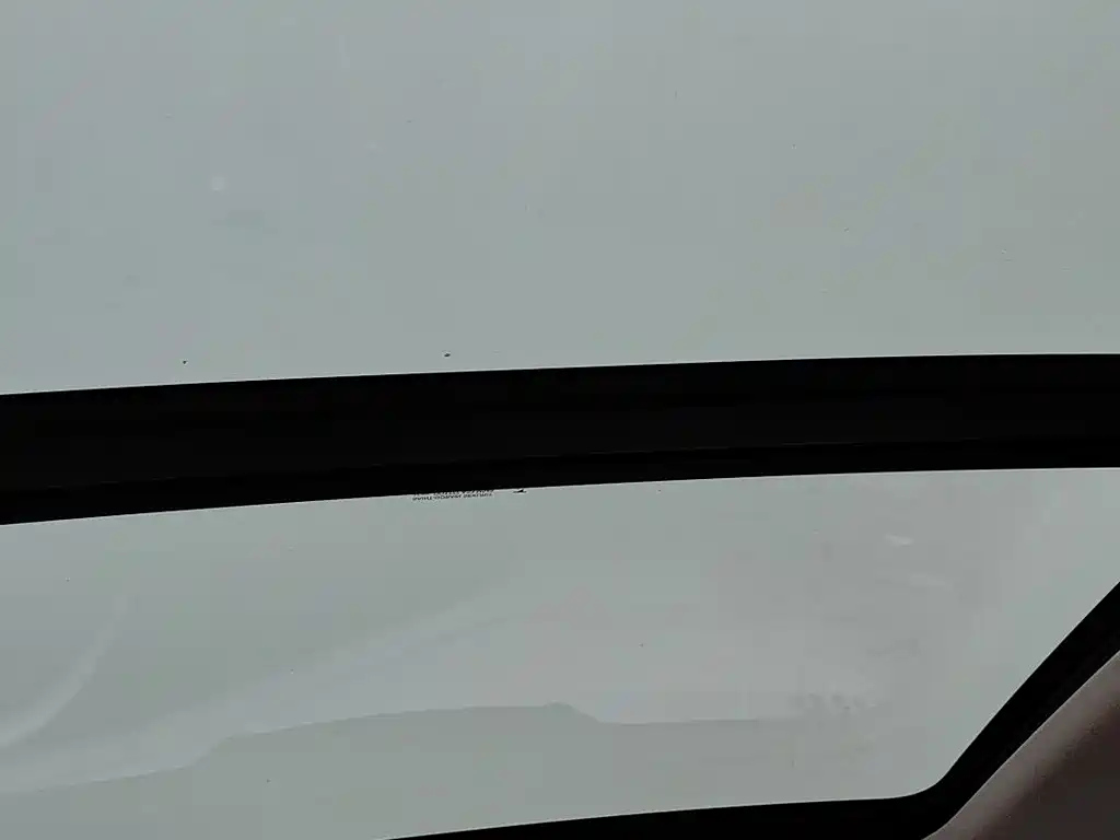 VOLKSWAGEN SAGITAR 2022