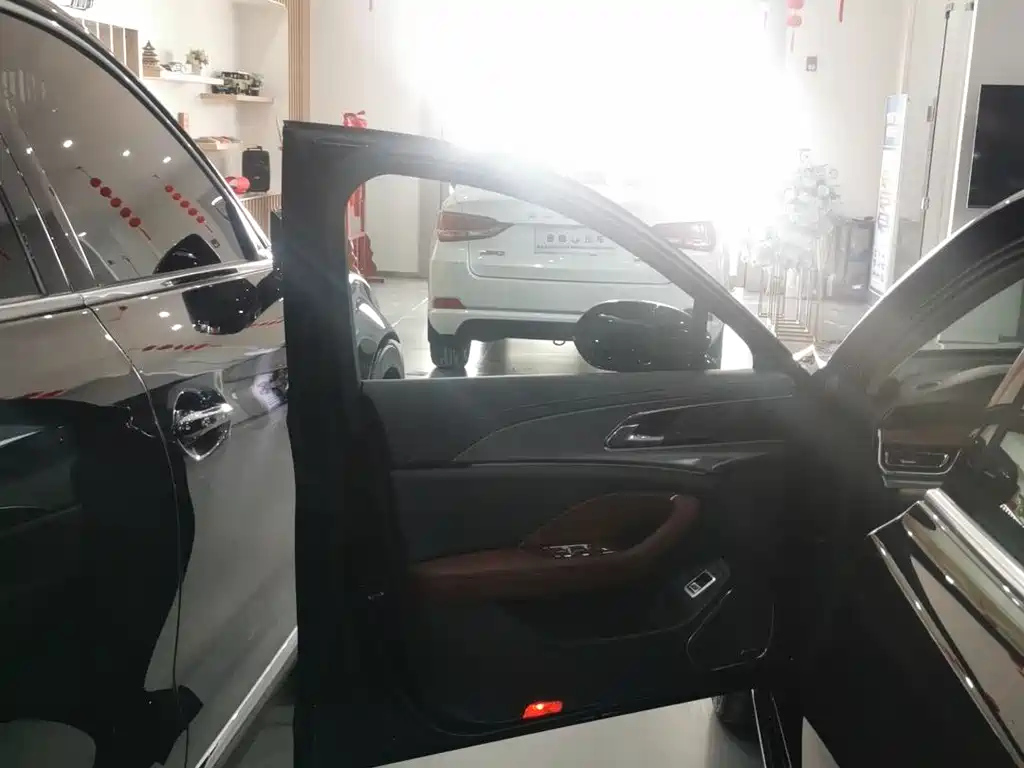 HONGQI H5 2024