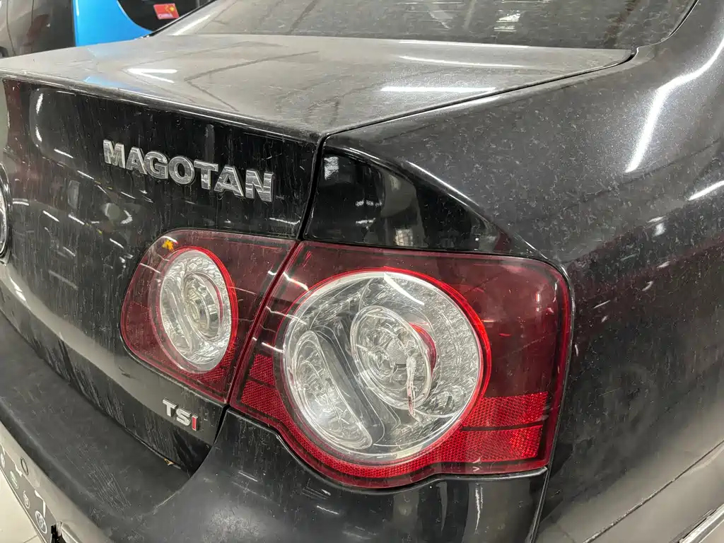 VOLKSWAGEN MAGOTAN 2010