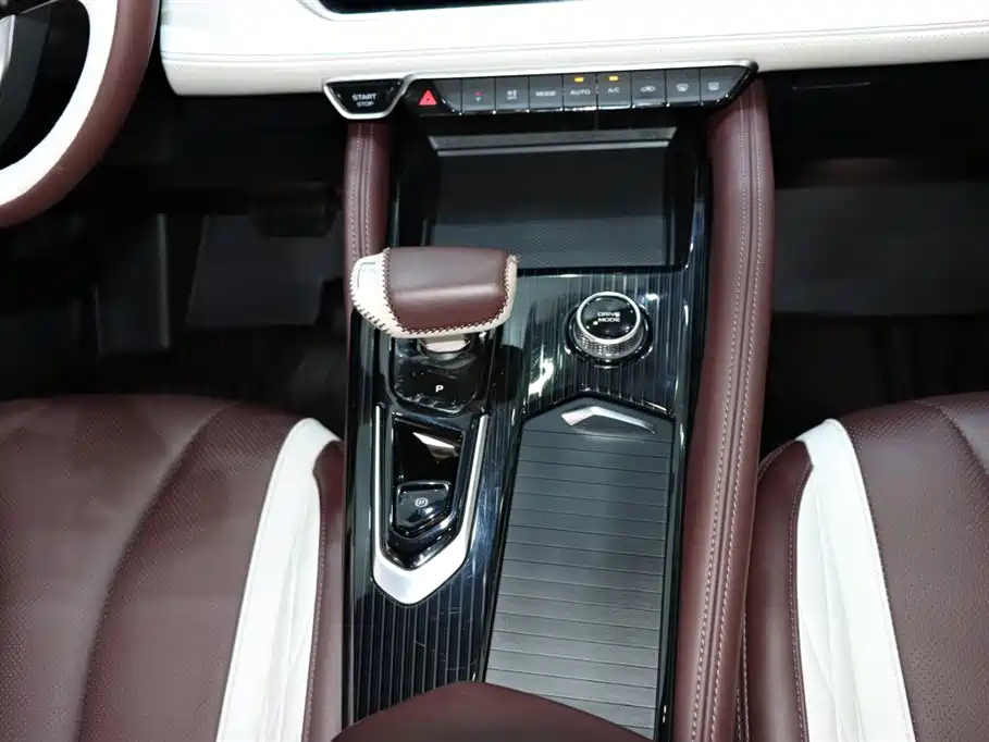 GEELY AUTO MONJARO 2021