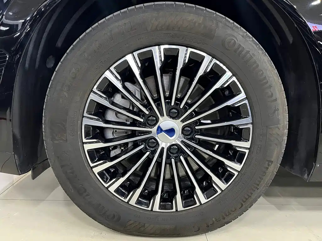 DENZA D9 2023