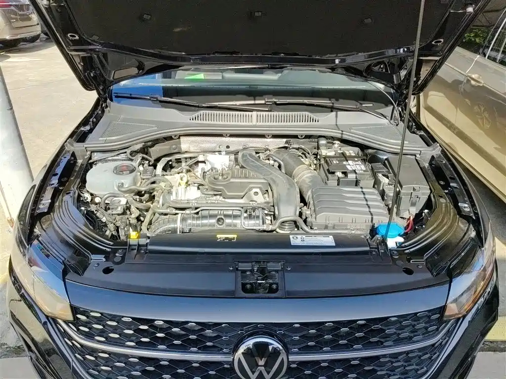 VOLKSWAGEN LAVIDA 2024