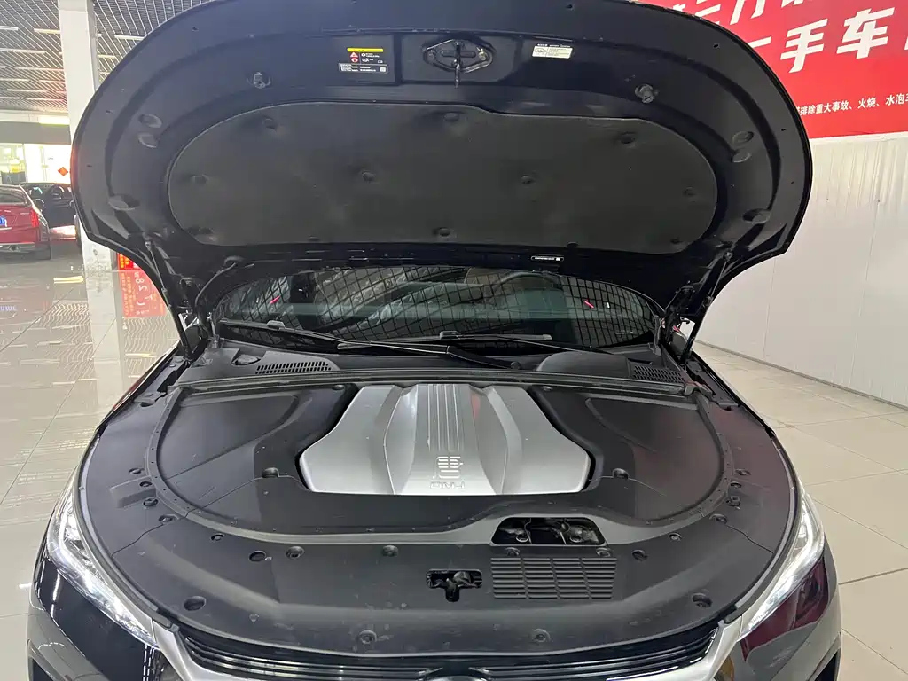 BYD TANG NEW ENERGY 2022