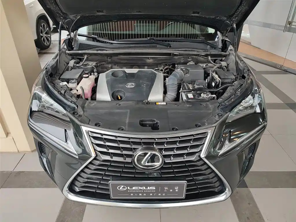 LEXUS NX 2019