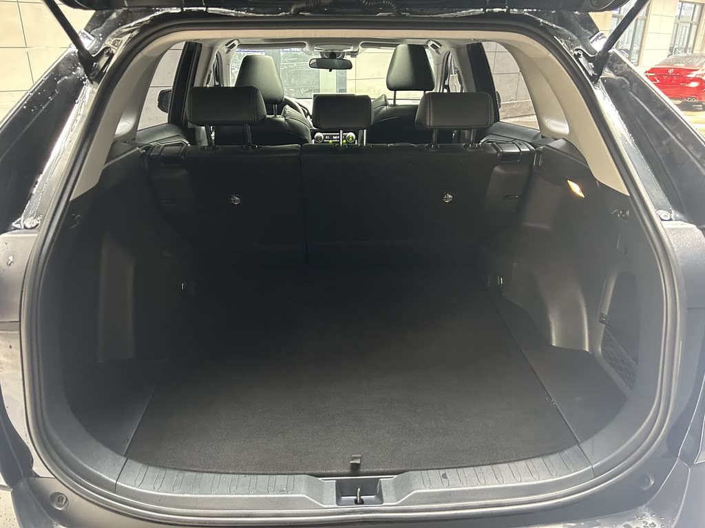 TOYOTA WILDLANDER 2020