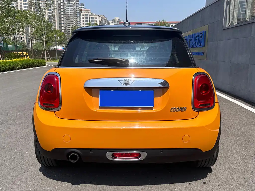 MINI OTHER 2015
