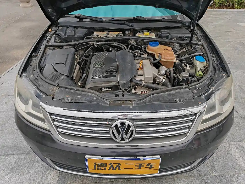 VOLKSWAGEN OTHER 2009
