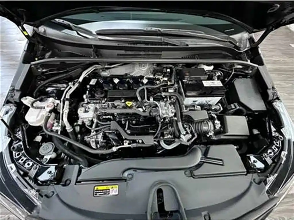 TOYOTA OTHER 2021