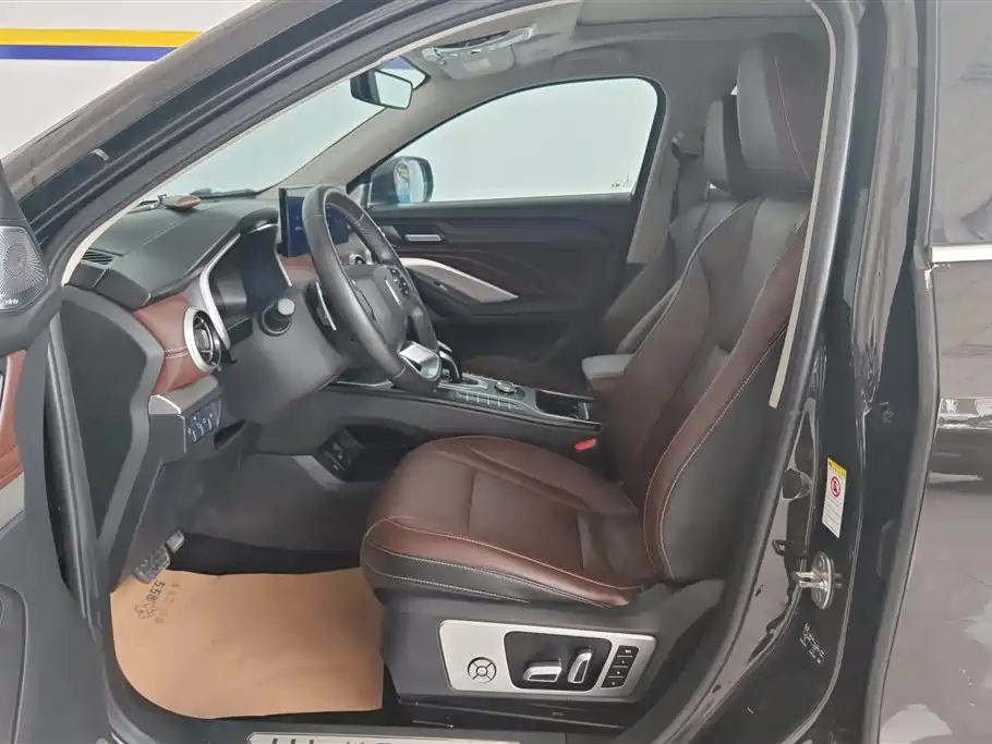 WEY VV6 2020