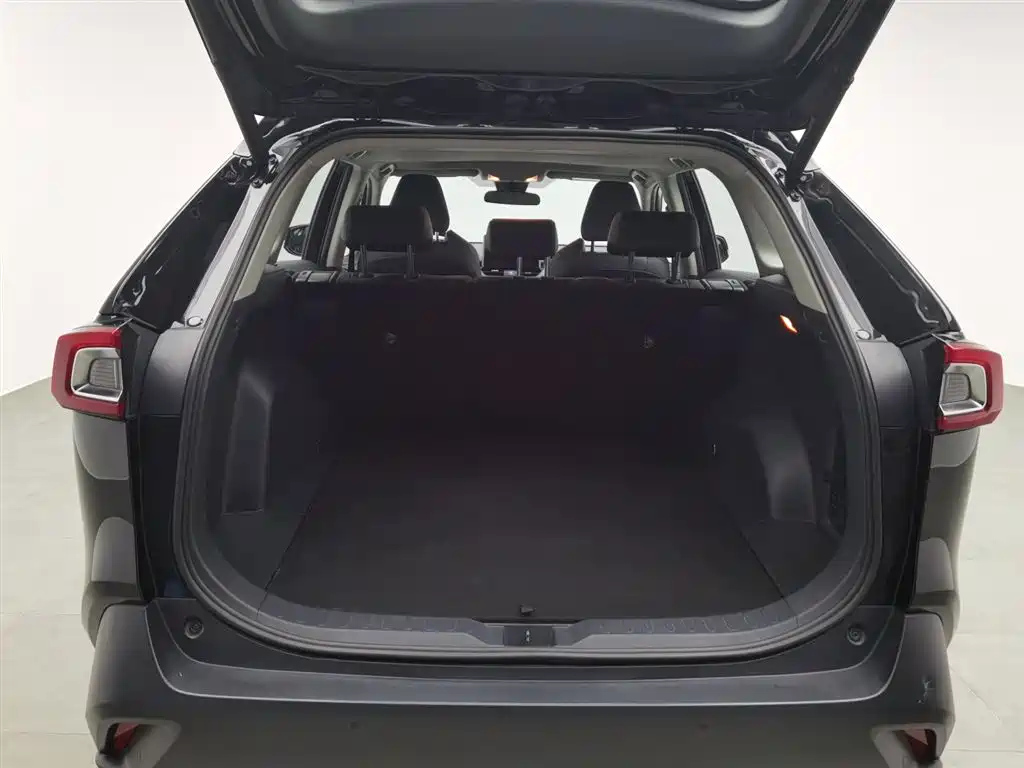 TOYOTA WILDLANDER 2022