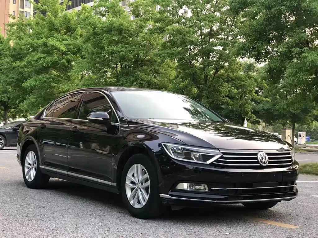 VOLKSWAGEN MAGOTAN 2019